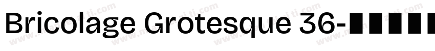 Bricolage Grotesque 36字体转换